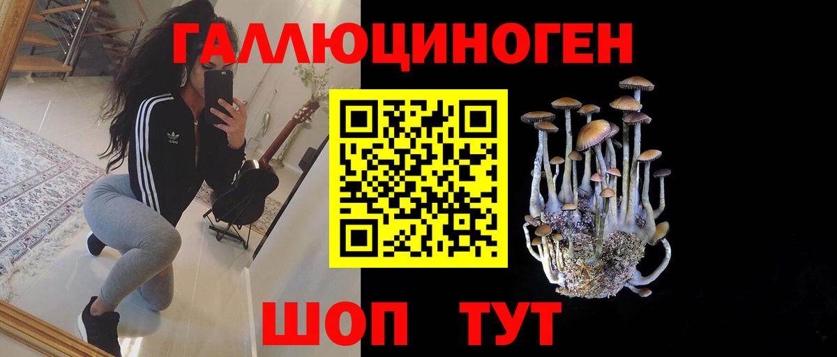 где найти   Псилоцибиновые грибы мицелий  Сургут  Вход с VPN  Псилоцибиновые грибы ЛСД 